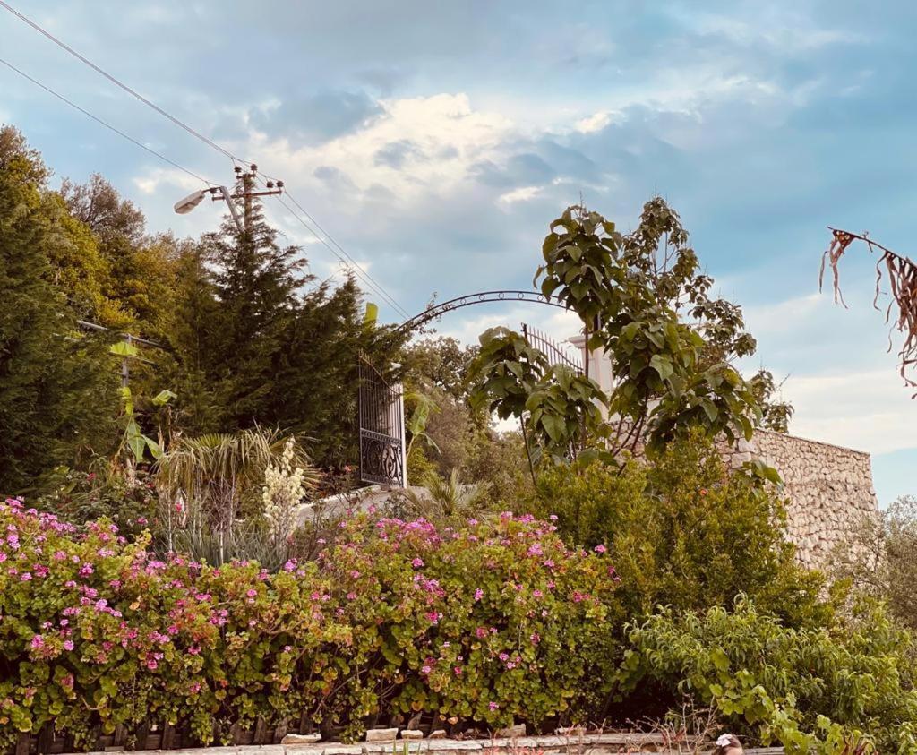 דרמי Hotel Imperial מראה חיצוני תמונה