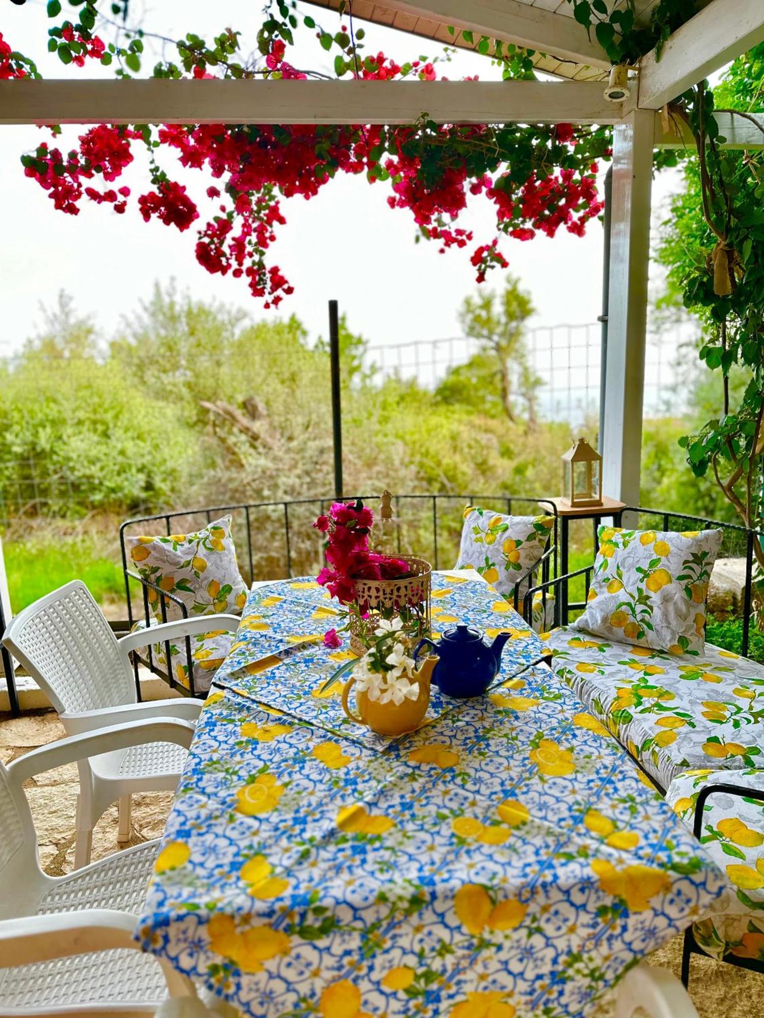 דרמי Hotel Imperial מראה חיצוני תמונה